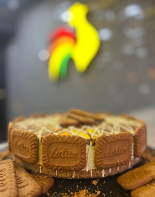  Lamego’s whole lotus biscoff cheesecake bordered by cookies and drizzled with white icing.